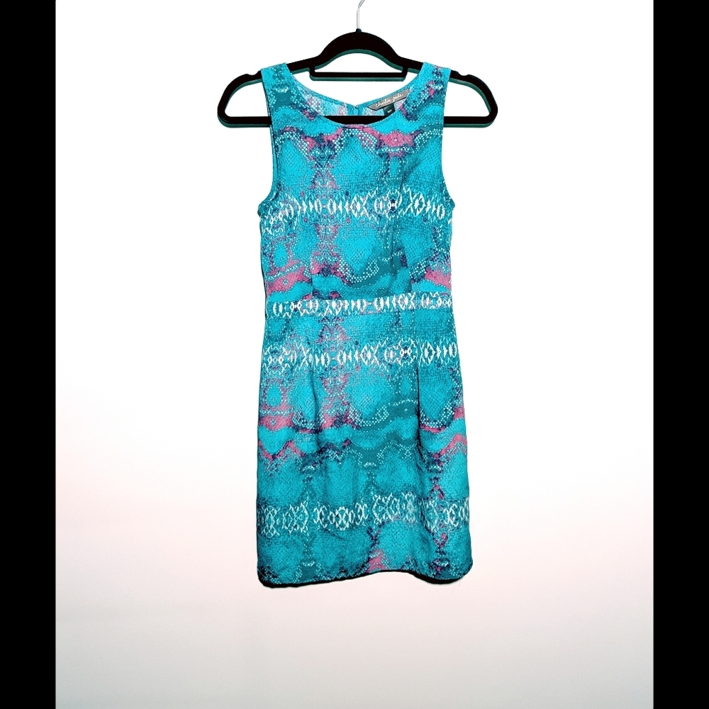 Charlie Jade Sleeveless Blue Pink Dress Size Small